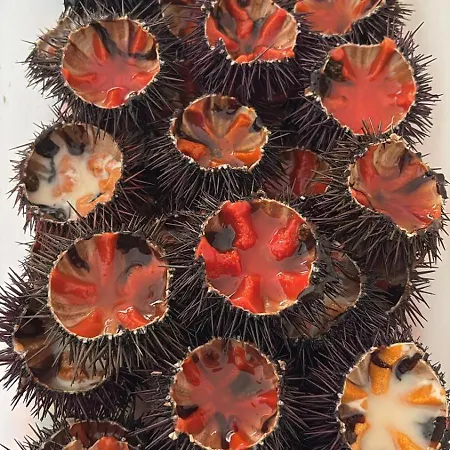 Vendégház Nicolhouse 20 Bari