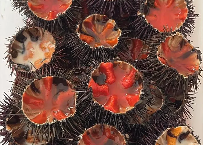 招待所 Nicolhouse 20 巴里